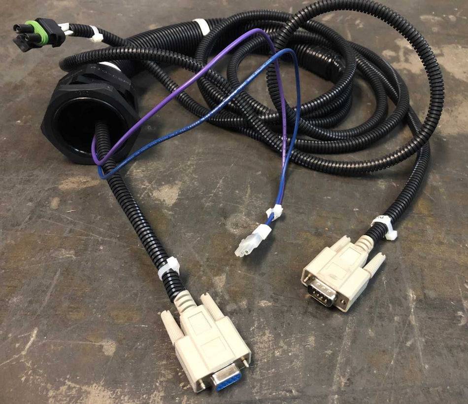 293054